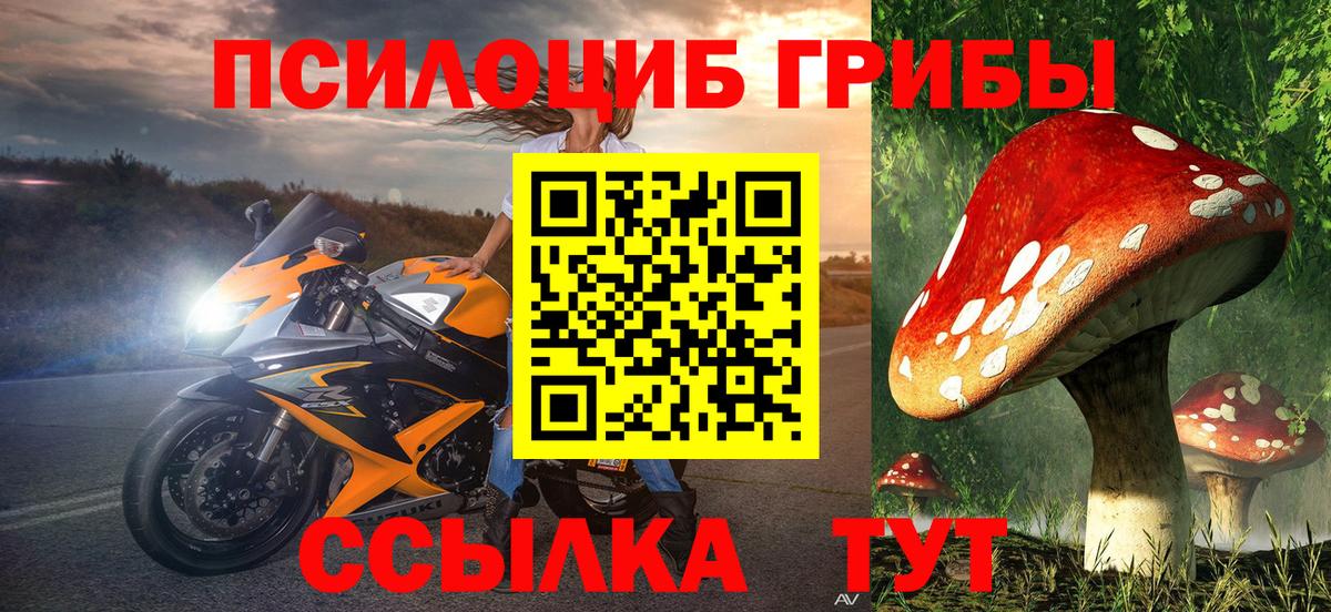 Псилоцибиновые грибы Psilocybe Георгиевск